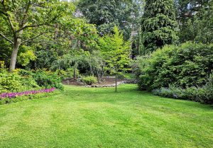 Optimiser l'expérience du jardin à Chambery